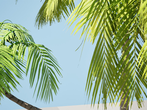 Low-Poly Beach Palms 3D-Modell