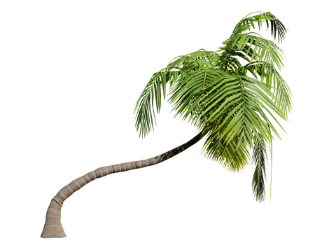 Low-Poly Beach Palms 3D-Modell