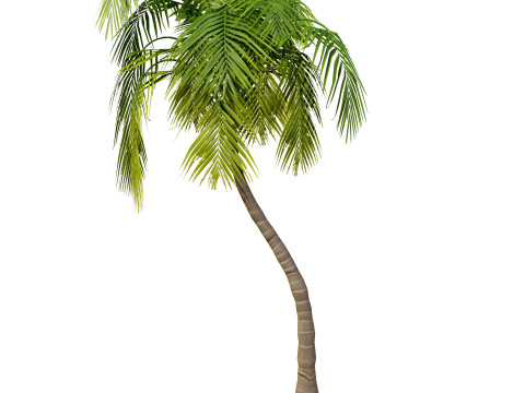 Low-Poly Beach Palms 3D-Modell