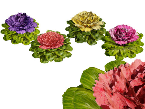 Cabbage Flowers 3D Модель