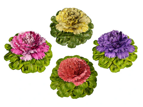 Cabbage Flowers 3D Model