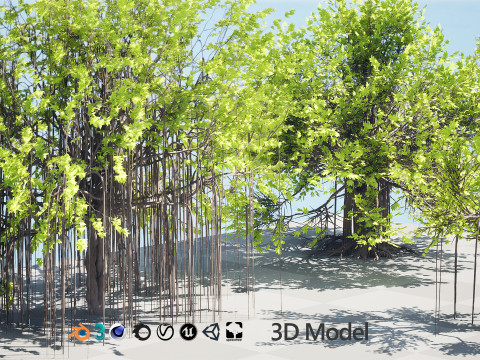Ficus Carica 3D 모델