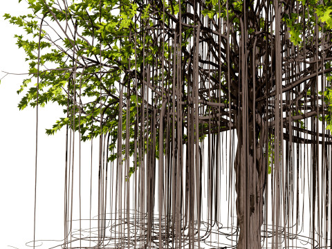 Ficus Carica 3D 모델