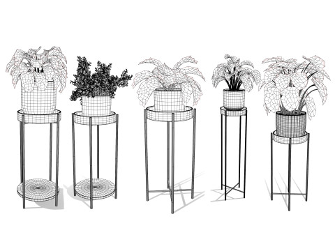 Indoor Plant s Model 3D