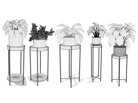 Indoor Plant s 3D Model