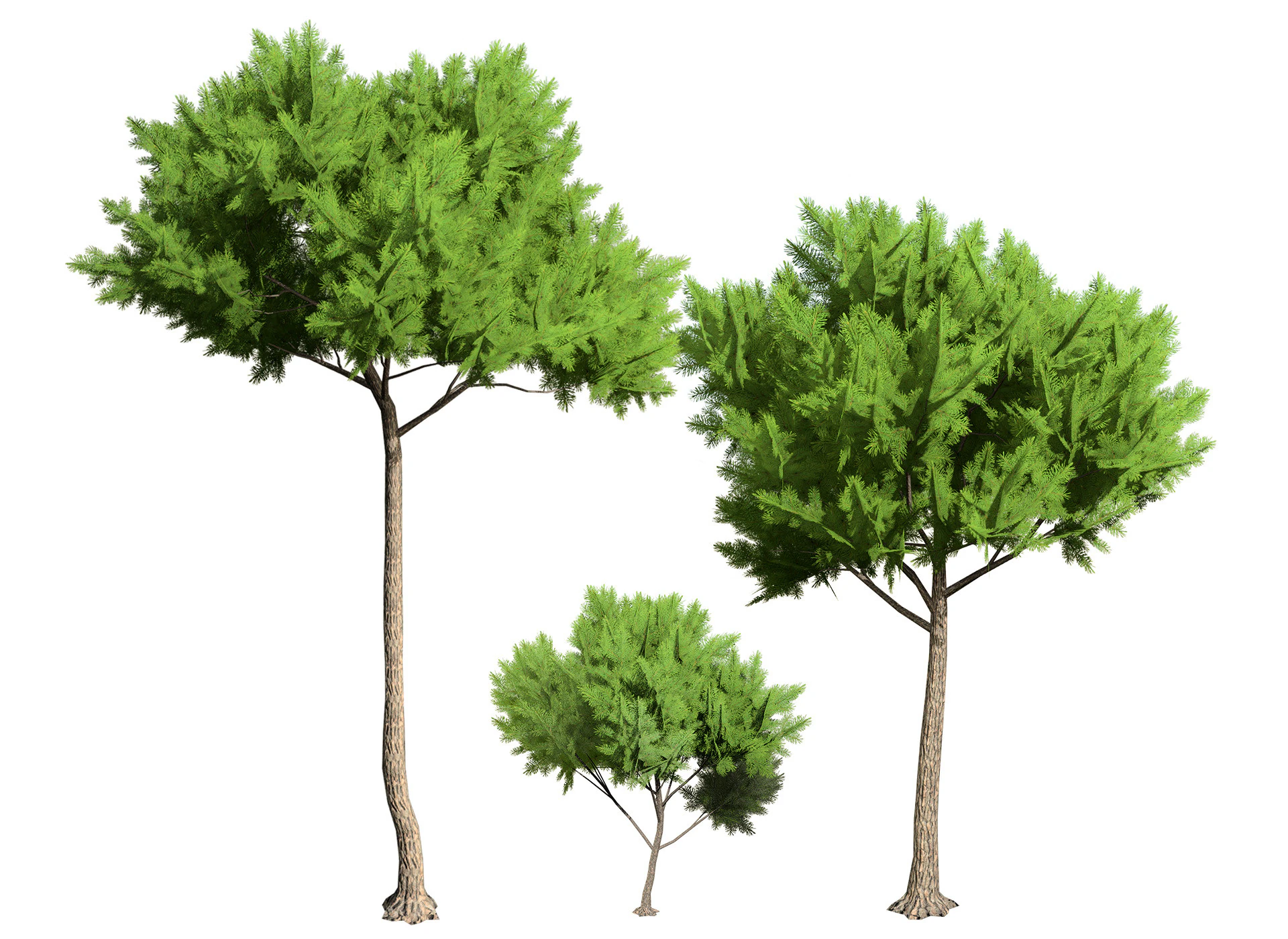 Low Poly Stone Pine Trees 3D Model .c4d .max .obj .3ds .fbx .stl .blend