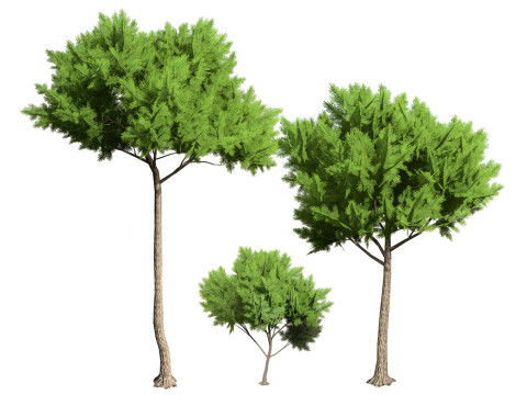 Low Poly Stone Pine Trees 3D मॉडल