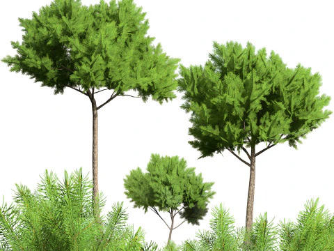 Low Poly Stone Pine Trees 3D Model