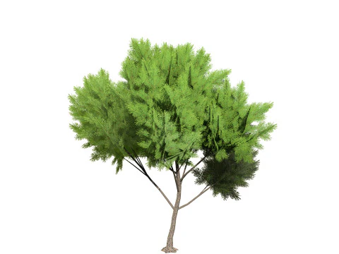 Low Poly Stone Pine Trees 3D Model