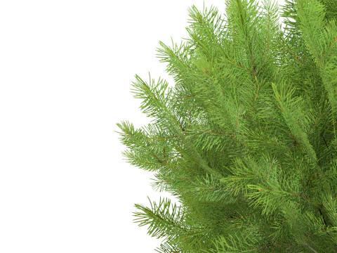 Low Poly Stone Pine Trees 3D Model