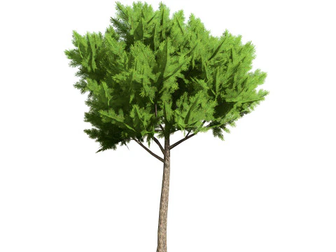 Low Poly Stone Pine Trees 3D Model