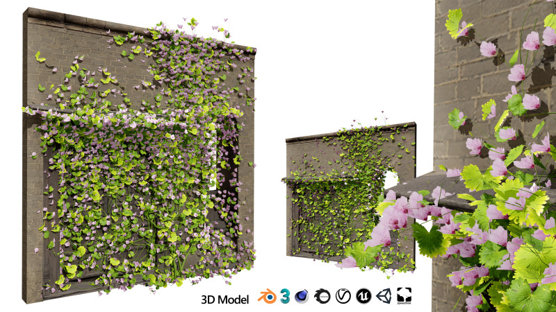 Kenilworth Ivy Wall Plant 3D Model .c4d .max .obj .3ds .fbx .stl .blend 