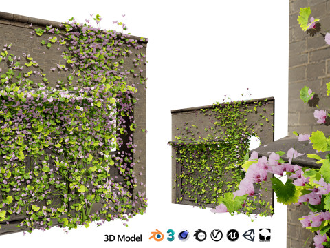 Kenilworth Ivy Wall Plant 3D Model