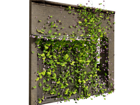 Kenilworth Ivy Wall Plant 3D Model
