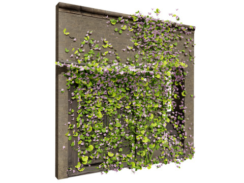 Kenilworth Ivy Wall Plant 3D Model