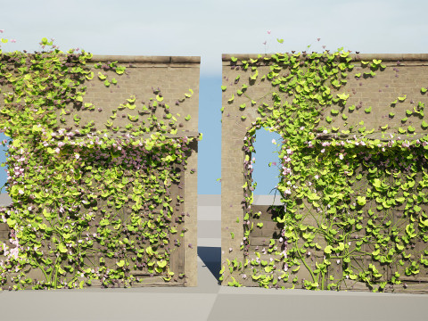Kenilworth Ivy Wall Plant 3D Model