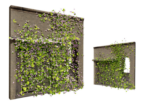 Kenilworth Ivy Wall Plant 3D Model