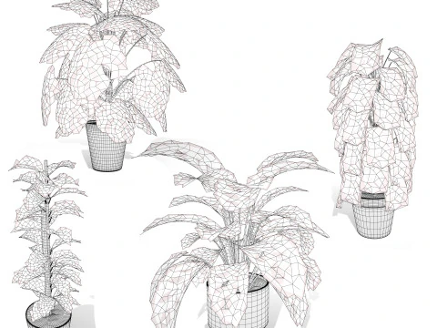 Monstera Plant 3D Model