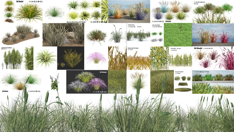 Low-Poly Grass and Foliage Assets 3d Pack Modello 3D .c4d .max .obj .3ds .fbx .stl .blend 