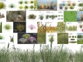 Low-Poly Grass and Foliage Assets 3d Pack Modelo 3D