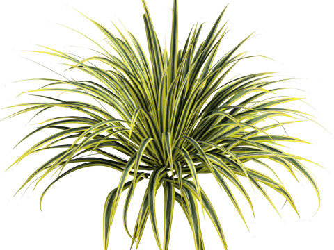 Low-Poly Grass and Foliage Assets 3d Pack Modello 3D