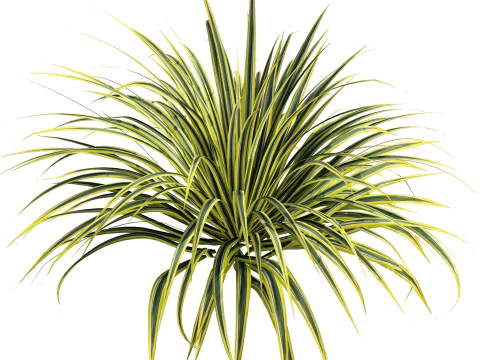 Low-Poly Grass and Foliage Assets 3d Pack 3D Model