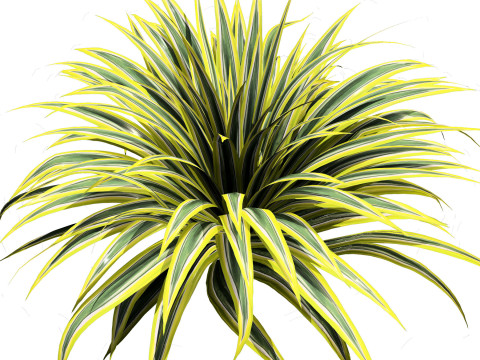 Low-Poly Grass and Foliage Assets 3d Pack Modello 3D