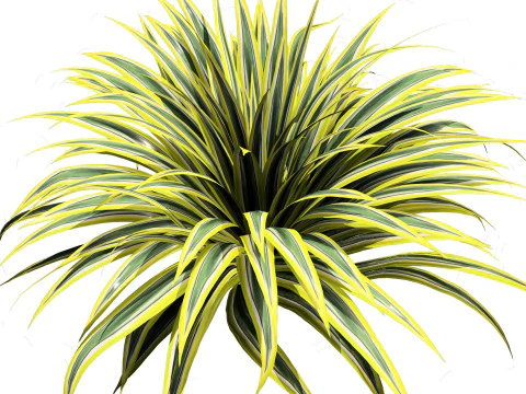 Low-Poly Grass and Foliage Assets 3d Pack 3D Model