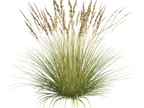 Low-Poly Grass and Foliage Assets 3d Pack 3D Model