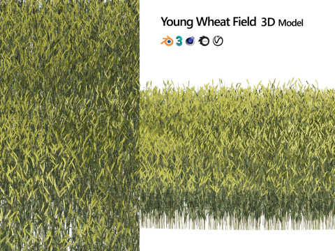 Low-Poly Grass and Foliage Assets 3d Pack Modello 3D