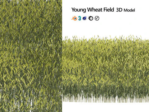 Low-Poly Grass and Foliage Assets 3d Pack 3D Model
