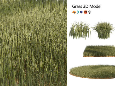 Low-Poly Grass and Foliage Assets 3d Pack Modello 3D