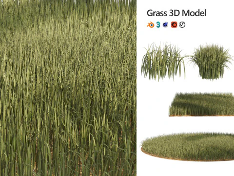 Low-Poly Grass and Foliage Assets 3d Pack 3D Model