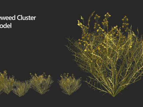 Low-Poly Grass and Foliage Assets 3d Pack 3D Model