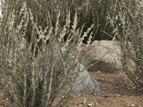 Low-Poly Grass and Foliage Assets 3d Pack Modello 3D