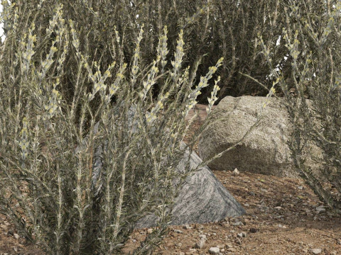 Low-Poly Grass and Foliage Assets 3d Pack 3D Model