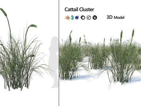 Low-Poly Grass and Foliage Assets 3d Pack 3D Model