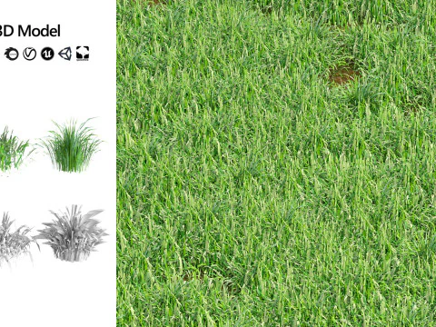 Low-Poly Grass and Foliage Assets 3d Pack 3D Model
