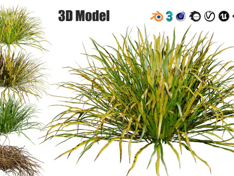 Low-Poly Grass and Foliage Assets 3d Pack 3D Model