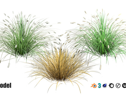 Low-Poly Grass and Foliage Assets 3d Pack Modello 3D
