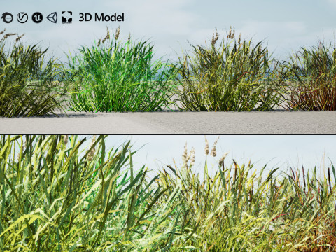Low-Poly Grass and Foliage Assets 3d Pack Modello 3D