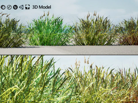 Low-Poly Grass and Foliage Assets 3d Pack 3D Model
