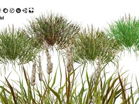 Low-Poly Grass and Foliage Assets 3d Pack Modello 3D