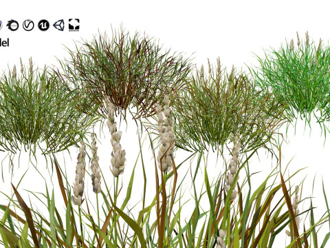 Low-Poly Grass and Foliage Assets 3d Pack 3D Model