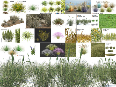 Low-Poly Grass and Foliage Assets 3d Pack Modello 3D