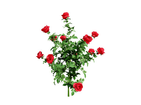 High-Detail Outdoor Plant Collection 3D 모델
