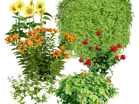 High-Detail Outdoor Plant Collection 3D 모델