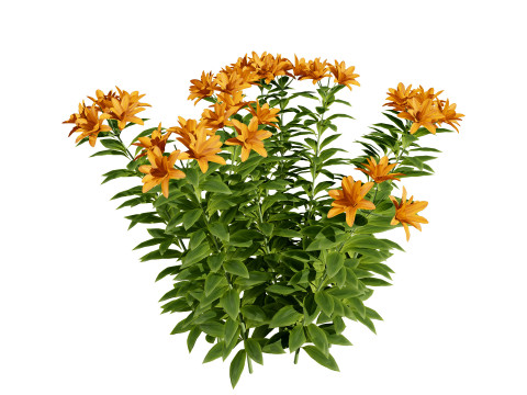 High-Detail Outdoor Plant Collection 3D 모델