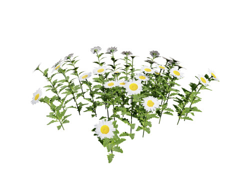 High-Detail Outdoor Plant Collection 3D 모델