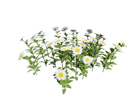 High-Detail Outdoor Plant Collection 3D Model